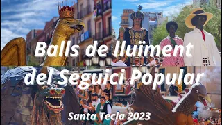 Balls de lluïment del Seguici Popular de Tarragona (Festes de Santa Tecla 2023).