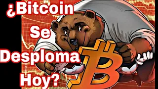 ¿bitcoin caera hoy  analisis y proyeccion del precio