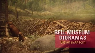 Bell Museum Dioramas: Birth of an Art Form