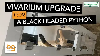 Vivarium upgrade for Black Headed Python | Why I like the ViperViv vivariums