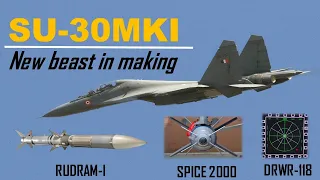 Spice 2000 , Rudarm-I anti-radiation missile & DRWR-118 integration in SU-30MKI for Indian Air Force