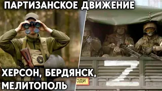 Мелитополь, Бердянск - взрывы, Херсон - антироссийские листовки. Это партизанское движение?