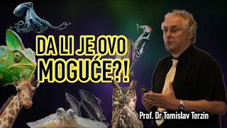 Tomislav Terzin - DA LI JE OVO MOGUĆE?!
