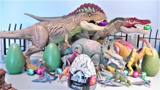 NEW Jurassic World Captivz Surprise Egg Camp Cretaceous Mini Dinosaur Toy Review