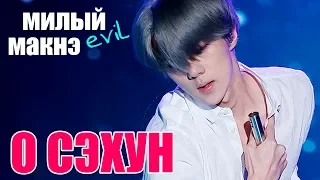 СЭХУН МИЛЫЙ (EVIL) МАКНЭ EXO | OH SEHUN | K POP ARI RANG