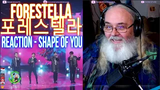 Forestella | 포레스텔라  Reaction - Shape of You - First Time Hearing - Requested