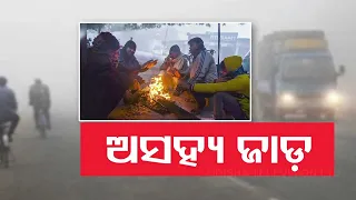 Odisha shivers to cold wave conditions; IMD issues yellow warning for dense fog till Christmas