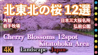 4K-JAPAN 北東北（秋田 岩手 青森）の桜12選 | 弘前公園 角館など（Cherry Blossoms at Kitatohoku)Hirosaki Park