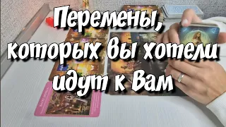 Что будет у Вас в Ноябре⁉️ таро предсказание будущего