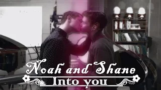 Noah and Shane | into you