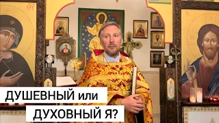 ПРОПОВЕДЬ в 5-е Воскресенье по ПАСХЕ | Евангелие о САМАРЯНКЕ | SERMON | Samaritan woman | Samaritana