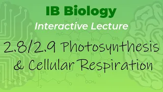 IB Biology 2.8 & 2.9 - Photosynthesis & Cellular Respiration - Interactive Lecture