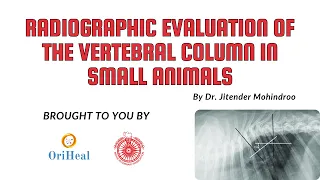 Radiographic Evaluation of Vertebral Column in Small Animals by Dr. Jitender Mohindroo