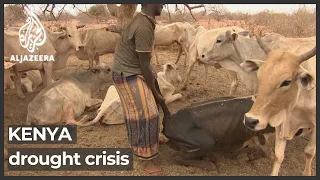 Two million Kenyans face starvation amid longstanding drought