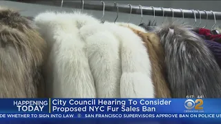 Hearing Today On Proposed Fur Ban