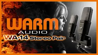 WARM AUDIO WA-14 Stereo Pair Microphones | Review/Test