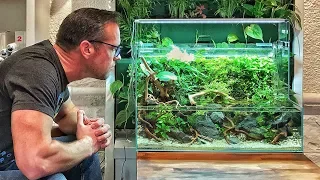 Awesome ADA Aquascapes in Switzerland!