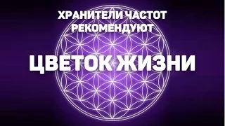 Цветок жизни