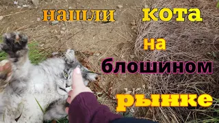 Блошиный рынок . Нашли редкого кота  Мей-кун . Находки с барахолки , старинные часы ,лампы ,загадка