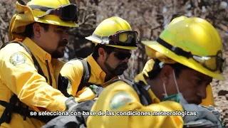 Prevención, detección y combate de incendios forestales