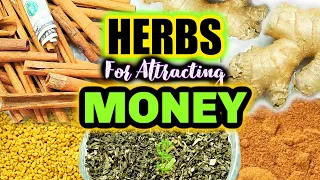 🧿 HERBS FOR ATTRACTING MONEY 🌿 Manifest & Increase Abundance, Prosperity, Cash, Wealth, Etc 🧿