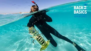 Giant Lobster & CRAZY Nature Encounters While Spearfishing (Catch, Clean, Cook) #TeamSeas