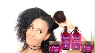 WASH & GO WITH THE NEW MIELLE ORGANICS POMEGRANATE & HONEY | REVIEW & DEMO
