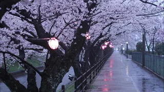 Hans Zimmer - A Way of Life (with rain in background)