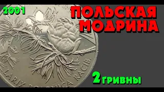 «Модрина польская» 👍, нейзильбер, 2 гривны, 2001 год (Обзор монеты) Модрина польська