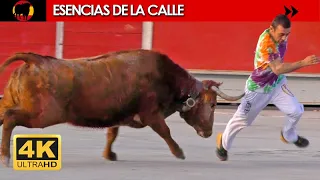 💥 ¡CORRE y NO te detengas! 🤩 Los AUTÉNTICOS REYES de la CALLE en 4K / Feria de Invierno 2020