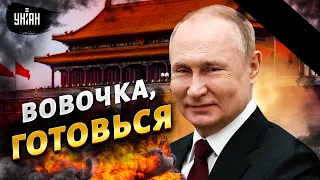 Вова, готовь пакет. Путин разбудил дракона, Китай разозлен