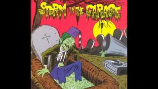 Various – Storm In The Garage : 60’s Garage Rock, Beat, Rhythm & Blues, Psyche Freakbeat Music Album