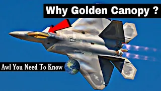 Why F-22 Raptor Have Golden Canopy ? #shorts