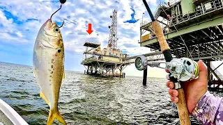 Tossed a LIVE! MENHADEN under this GAS RIG and Caught THIS!