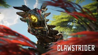 In Focus | Clawstrider