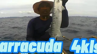 How to catch Barracuda (handline fishing#7)