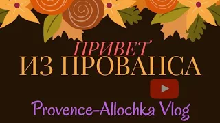 ДОБРОЕ УТРО В ПРОВАНСЕ. ПОЛЕ ОДУВАНЧИКОВ И КУРОЧКИ.