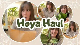 HOYA HAUL!📦Unboxing, wishlist plant + 4 other varieties 🌸