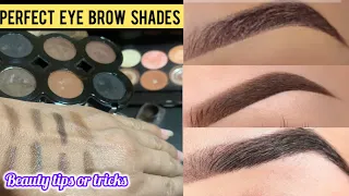 Perfect Eyebrow Shapes Or Shades How To laminate  My Eyebrows