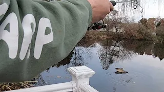 Big Surprise Catching Bluegill for Bait - Catching Worms, Bluegill & Catfish