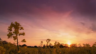 Celtic Woman - Fields Of Gold (rus sub)