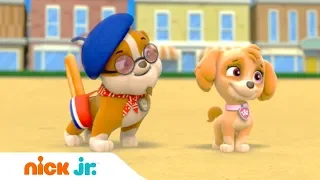 Щенячий патруль | Крепыш Француз? | Nick Jr. Россия