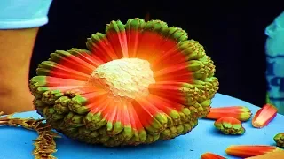 Top 5 Strangest Fruits in The World