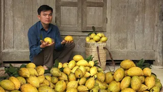 Fruits in mother's garden, help her harvest and sell. Robert | Green forest life