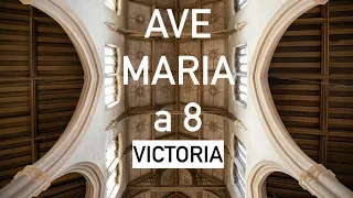 Tomás Luis de Victoria - Ave Maria a 8 | The Marian Consort