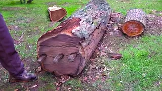 Genius Turns Old Tree Trunk Into Masterpiece Without Using A Single Power Tool