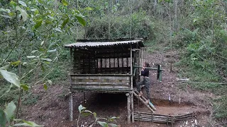 How To Build Bamboo House In Forest With Girl - Building New life