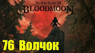 Morrowind за недомага 76 Волчок