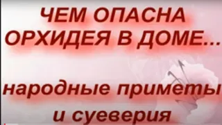 ЧЕМ ОПАСНА ОРХИДЕЯ В ДОМЕ.. народные приметы и поверья