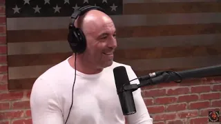 Joe Rogan says There's More to the Louis CK Story with Lenny Clarke JRE Clips